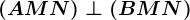(AMN)\perp (BMN)