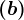 (b)
