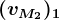 (vM2)1