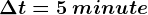 \Delta t=5\: minute