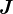 \dpi100 J