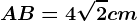 \fncm AB=4\sqrt2cm