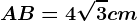 \fncm AB=4\sqrt3cm