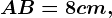 \fncm AB=8cm,