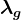 \lambda g