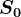 \large S0