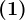\left ( 1 \right )