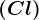 \left ( Cl \right )