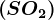 \left ( SO2 \right )