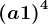 \left ( a+1 \right )^4