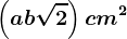 \left ( a+b\sqrt2 \right )cm^2