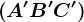 \left (A'B'C' \right )