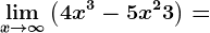 \limx--> \infty \left (4x^3-5x^2+3 \right )=