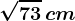 \sqrt73\, cm