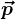 \vecp