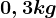 0,3 kg