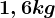 1,6 kg