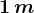 1\, m