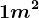 1 m^2