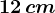 12\, cm