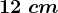 12\ cm