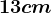 13 cm