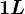 1L