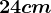 24 cm