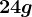 24 g