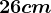 26 cm