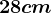 28cm