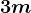 3 m