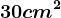 30cm^2
