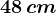 48 \, cm