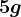 5 g