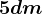 5dm