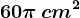 60\pi \, cm^2