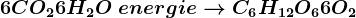 6CO2+6H2O\ + energie --> C6H12O6+6O2