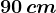90 \, cm