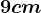 9cm