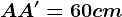 AA' = 60 cm