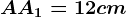 AA1=12 cm