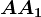AA1