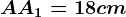 AA1=18 cm