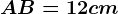 AB= 12 cm