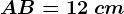 AB=12\ cm