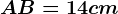 AB=14 cm