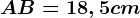 AB=18,5 cm