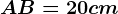AB=20 cm