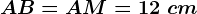 AB=AM=12\ cm